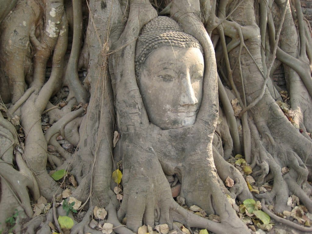 Ayutthaya by Land + Cruise